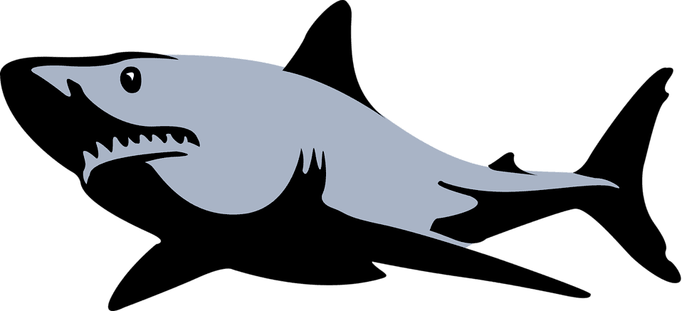 1.png 1.png