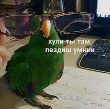 1596364463478.png 1596364463478.png