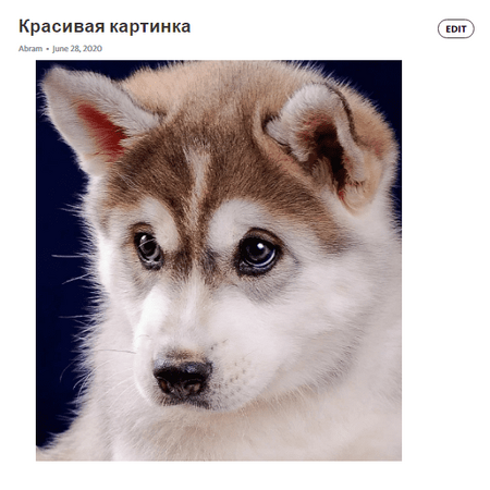 1600768871794.png 1600768871794.png