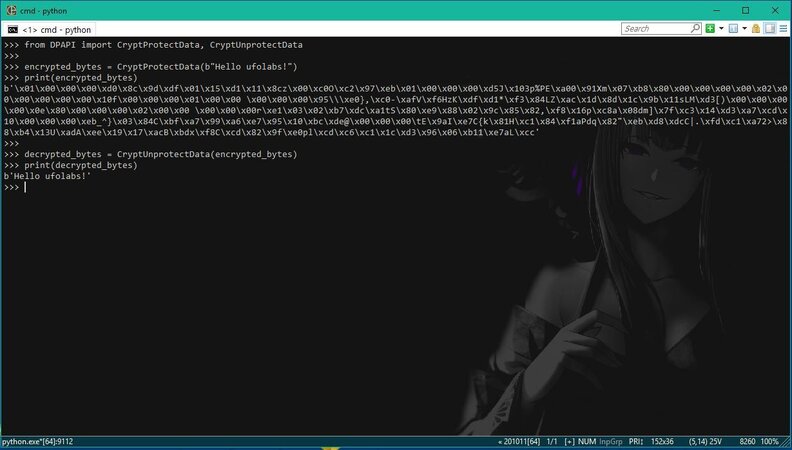 PY_DPAPI.JPG