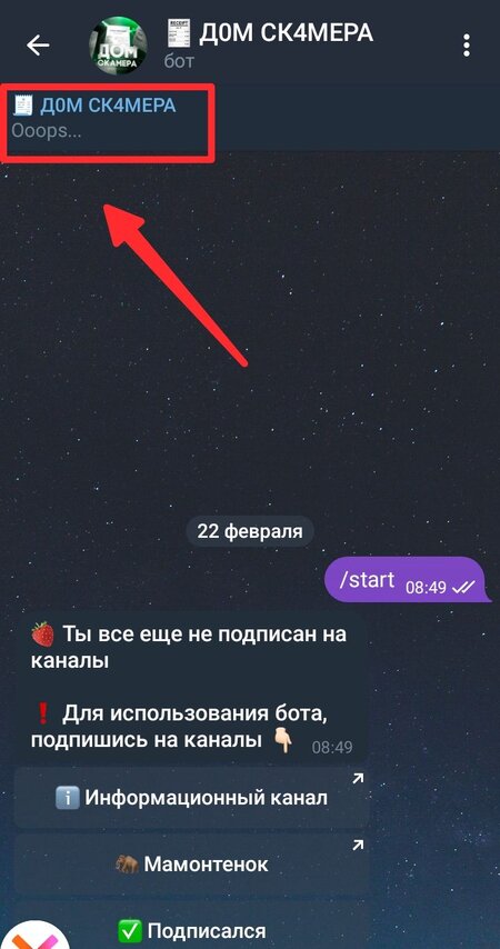Screenshot_20240222-085114.jpg